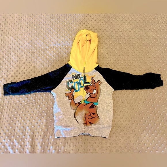 Scooby Doo Blue, Gray & Yellow Zip-Up Hoodie Jacket, Boys Size 2T. - Picture 3 of 6